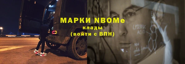 шишки Алексин